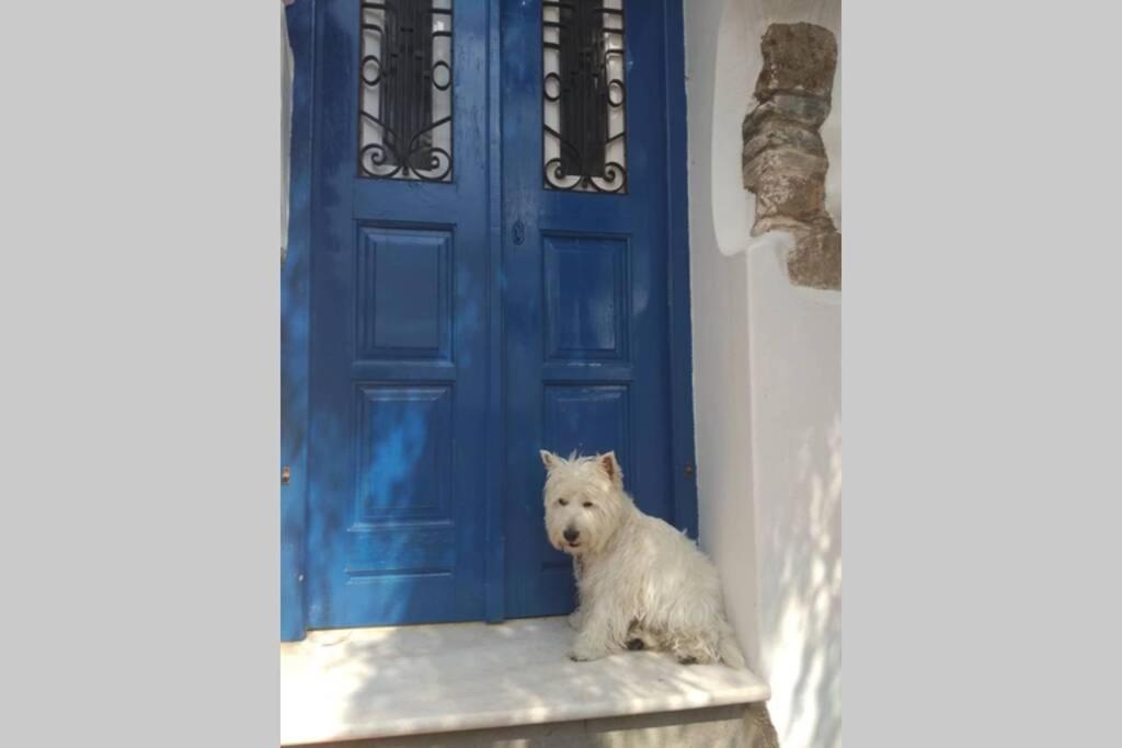 Blue & White: An Absolute Aegean Dream House Villa Galini  ภายนอก รูปภาพ